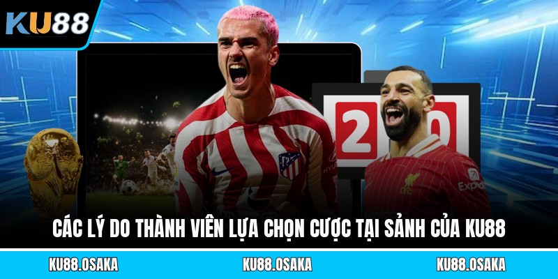 Các lý do thành viên lựa chọn cược tại sảnh của KU88